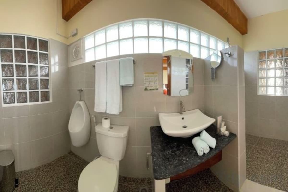 Baño | Ducha y cabezal de ducha tipo lluvia