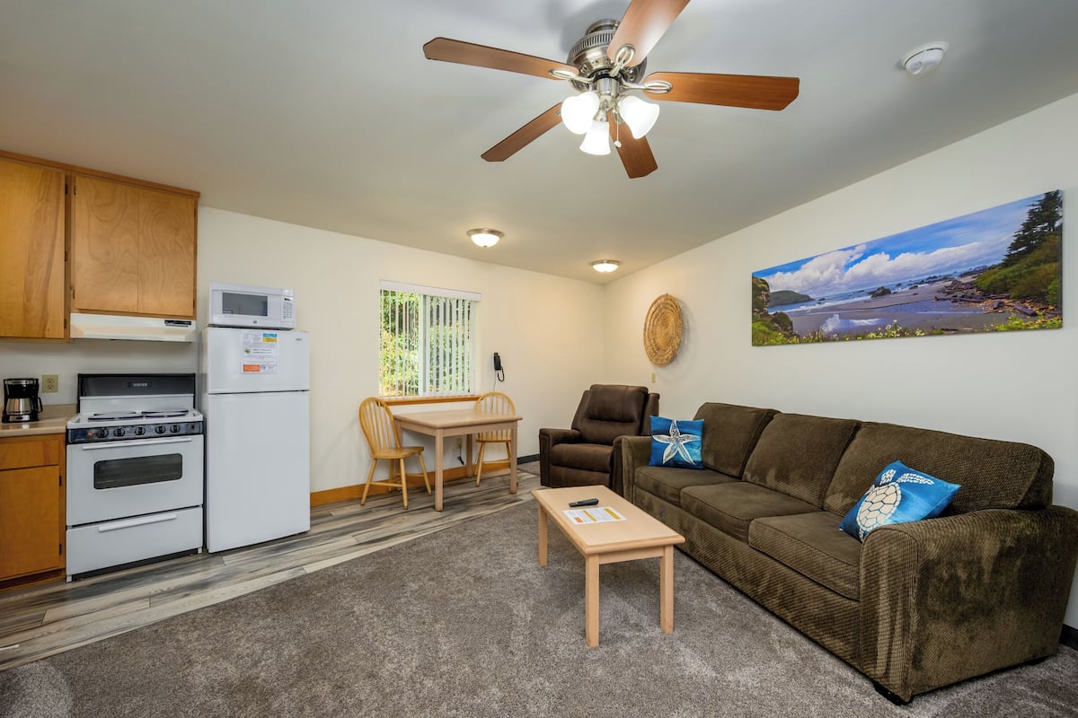 A compact living space with a kitchenette, a dining area, a sofa, and a ceiling fan.
