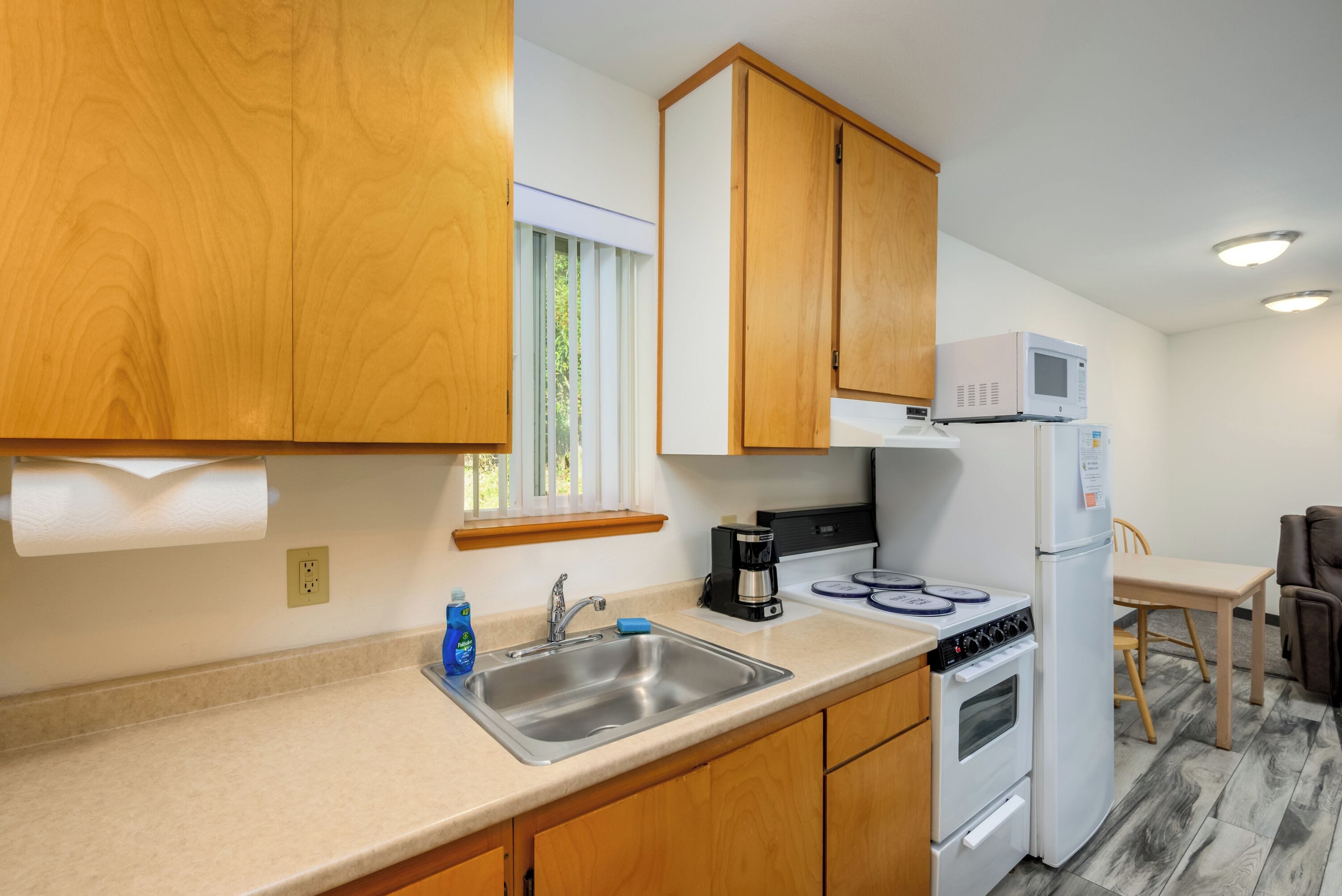 Apartemen Deluks, 1 Tempat Tidur Queen dengan tempat tidur Sofa, dapur | Dapur pribadi | Lemari es besar, microwave, oven, dan kompor
