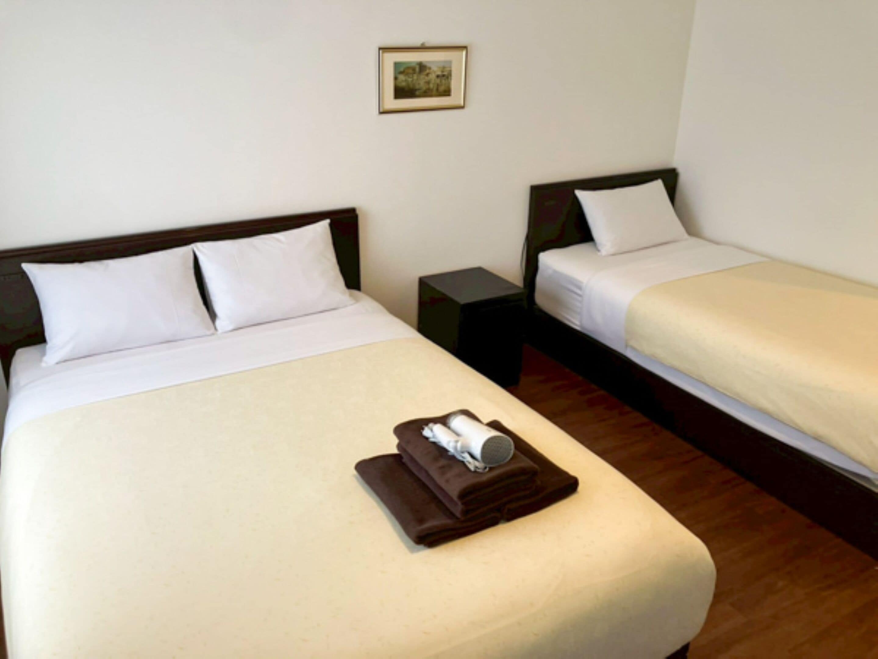 Habitación con 2 camas individuales, para no fumadores, baño privado | Wifi gratis y ropa de cama 
