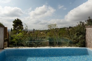 Premium suite, privézwembad, uitzicht op tuin | Uitzicht vanuit de kamer
