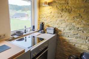 Full-size fridge, stovetop, dishwasher, coffee/tea maker