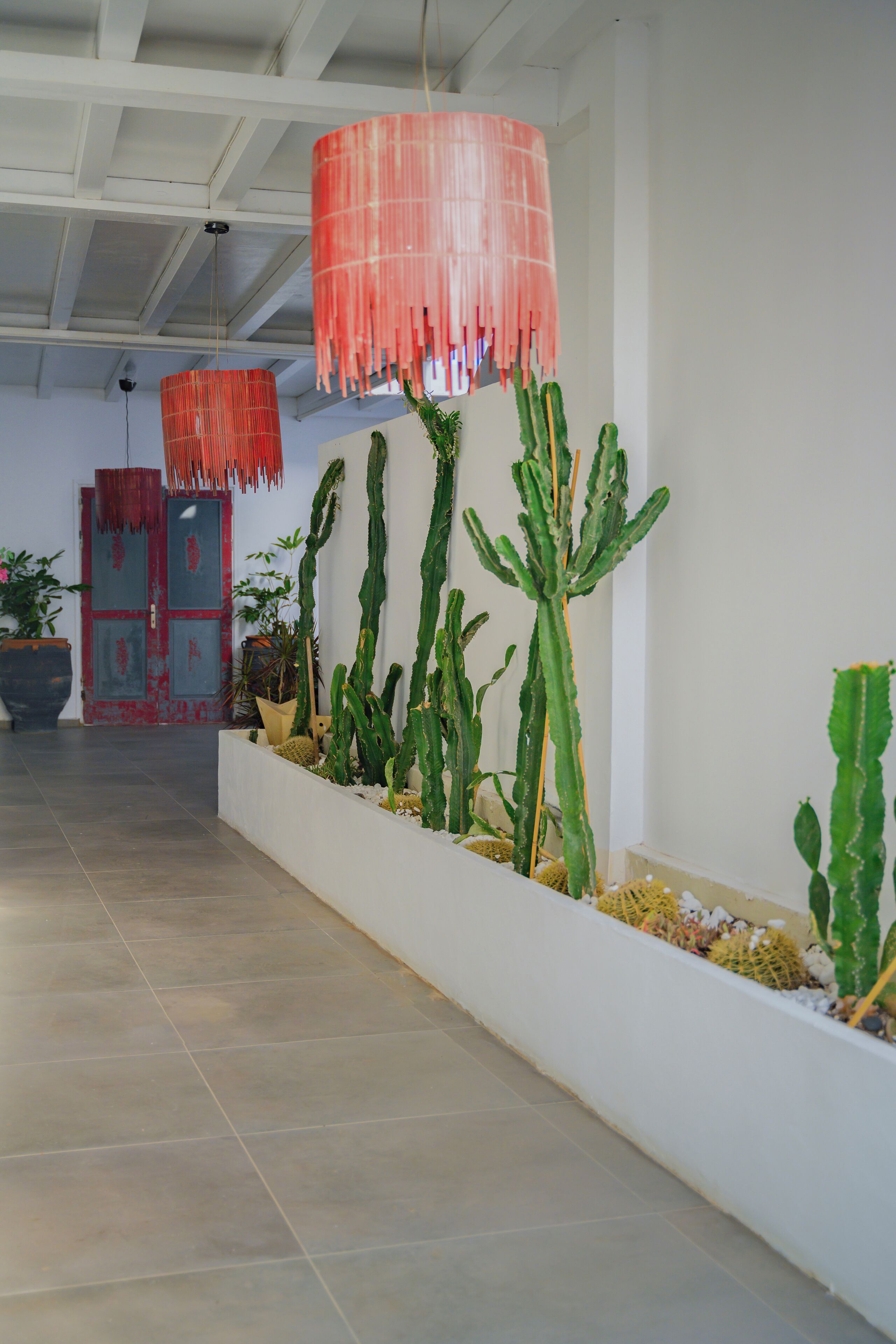 Foto - Impressive One