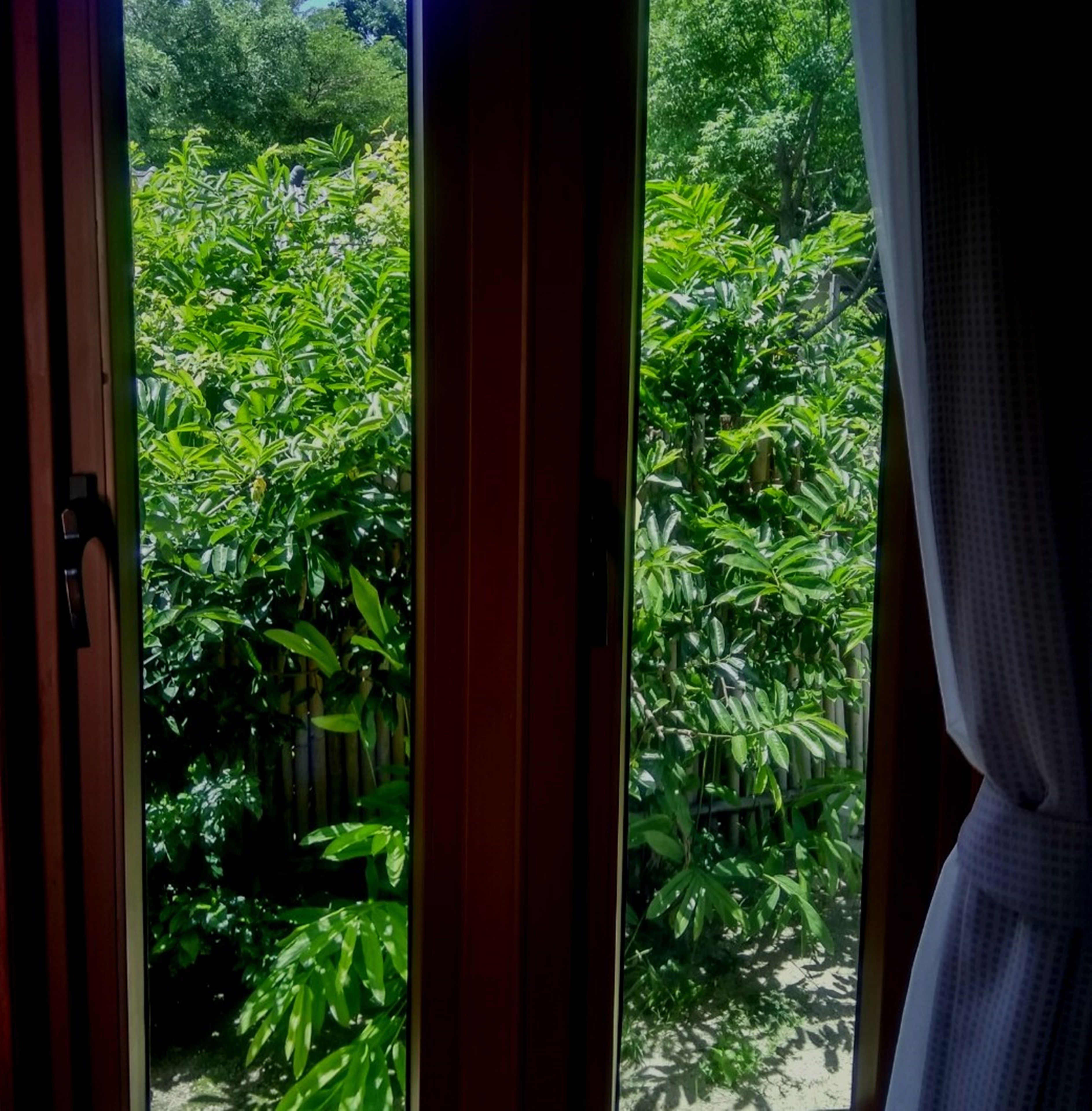 deluxe villa (third row on beach) | view from room