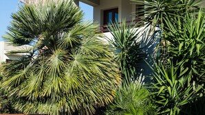 Un edificio moderno con balcones y un exuberante jardín con diversas plantas tropicales.