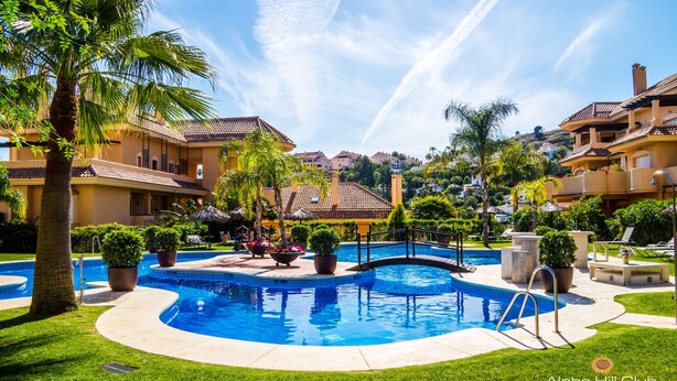 Una piscina circondata da vegetazione lussureggiante e palme, con un cielo azzurro limpido.