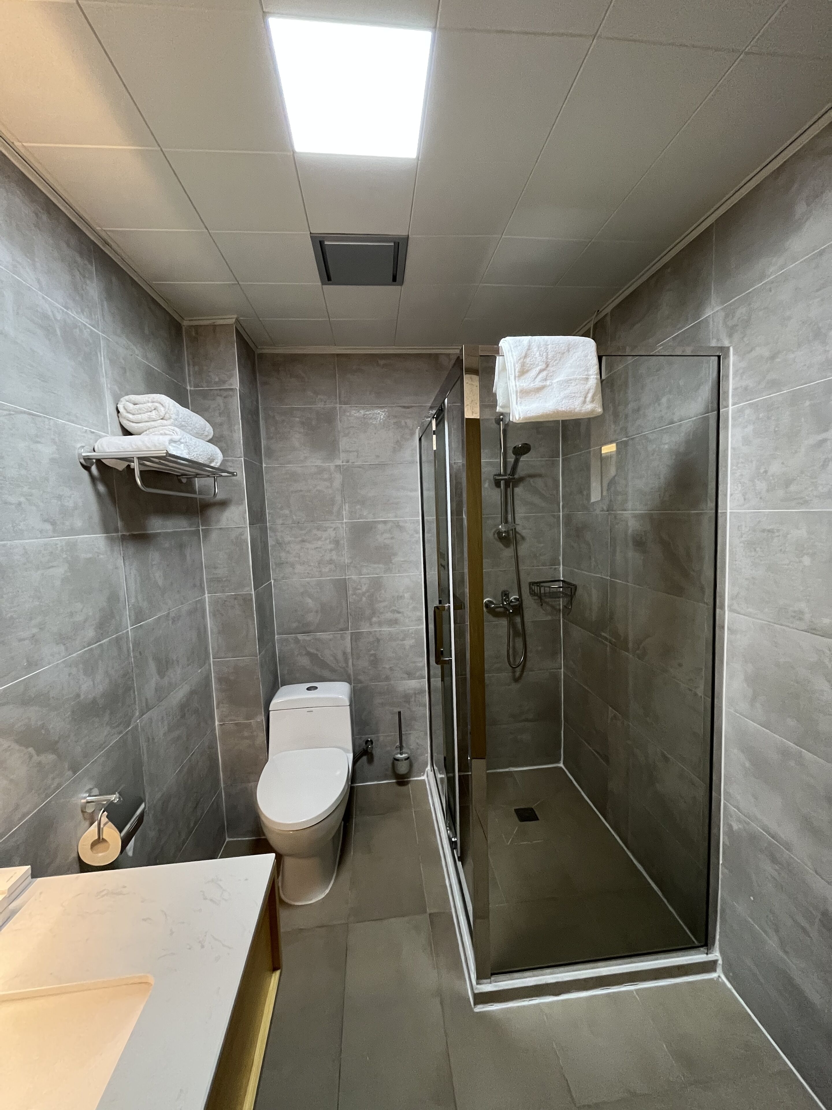 Ein modernes Badezimmer mit Toilette, Waschbecken und einer Duschkabine.