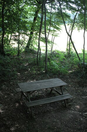 A wooden picnic table in a forested area with trees and foliage around.