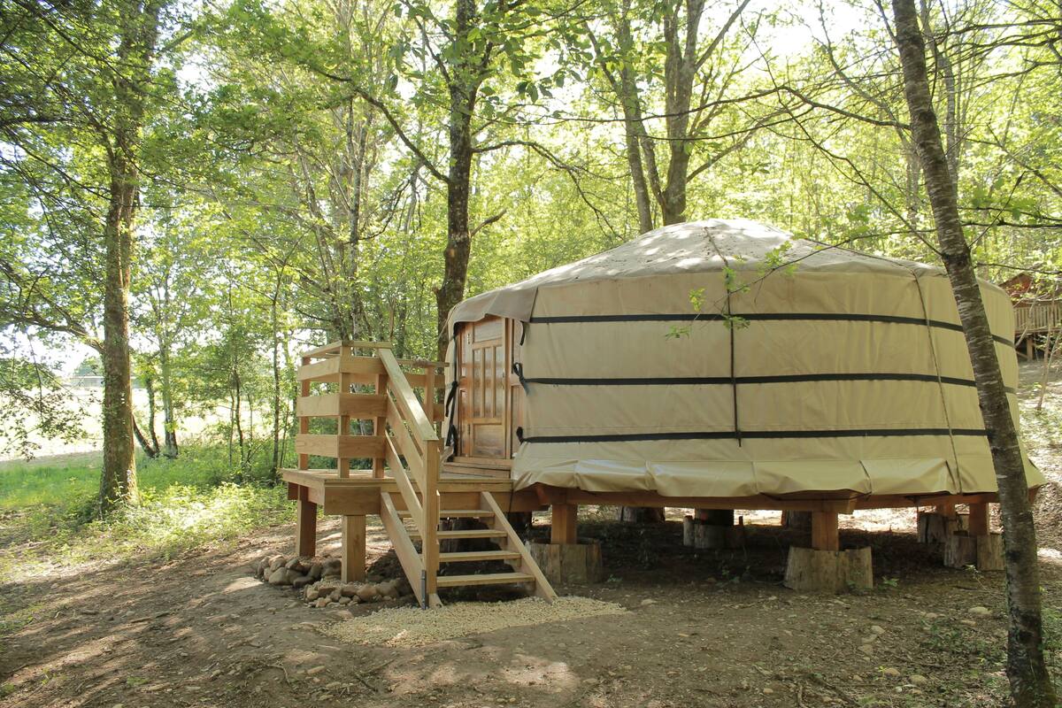 A wooden structure with a tent-like covering, a staircase leading to a door, and a natural forest setting.