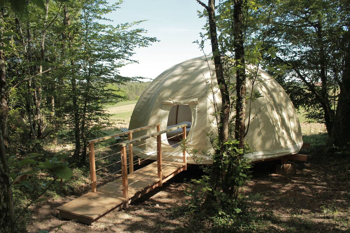 A dome-shaped structure in a forested area with a wooden bridge leading to it.