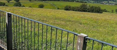 Deluxe Double Room, Ensuite, Courtyard View | View from property