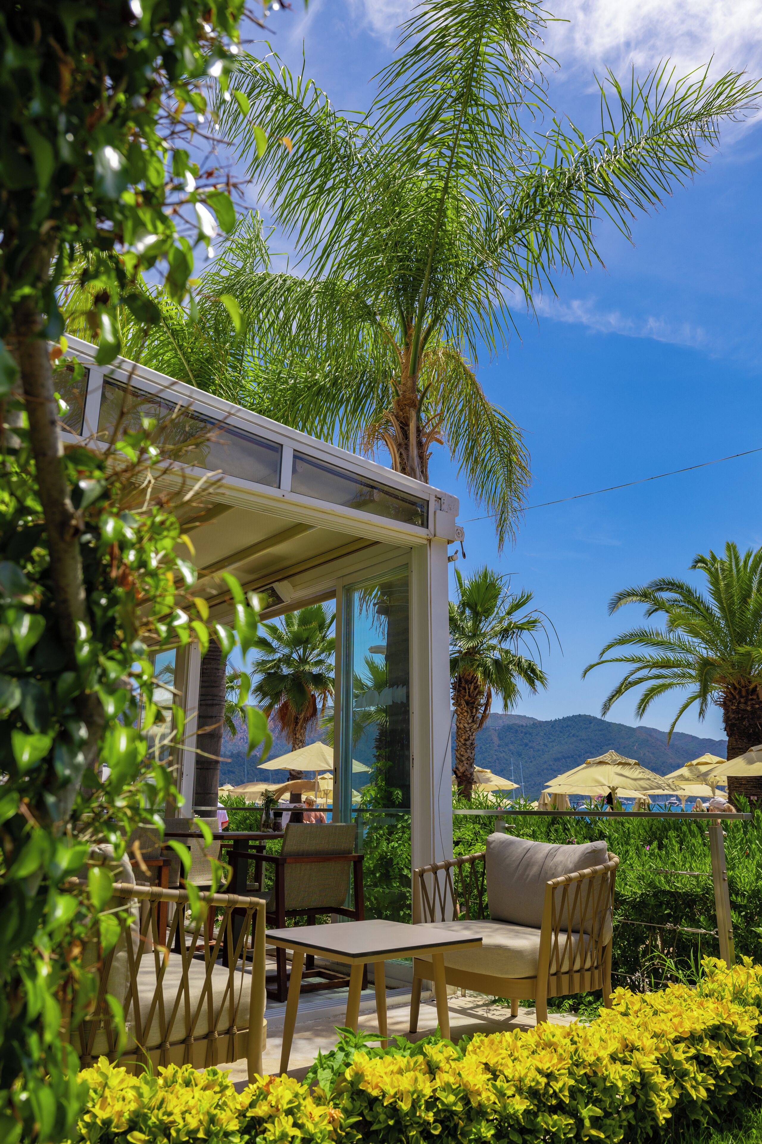 A covered outdoor seating area with tables and chairs, surrounded by greenery and palm trees.