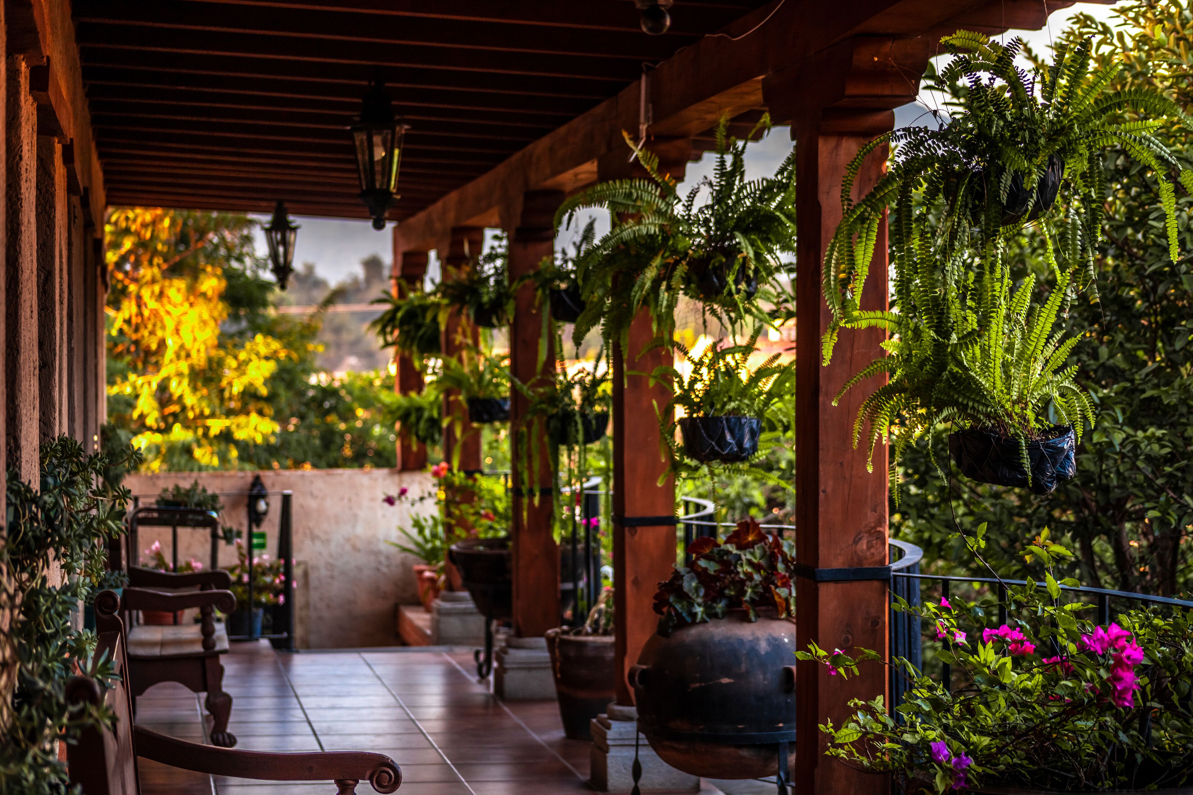 Foto - Naif Boutique Hotel