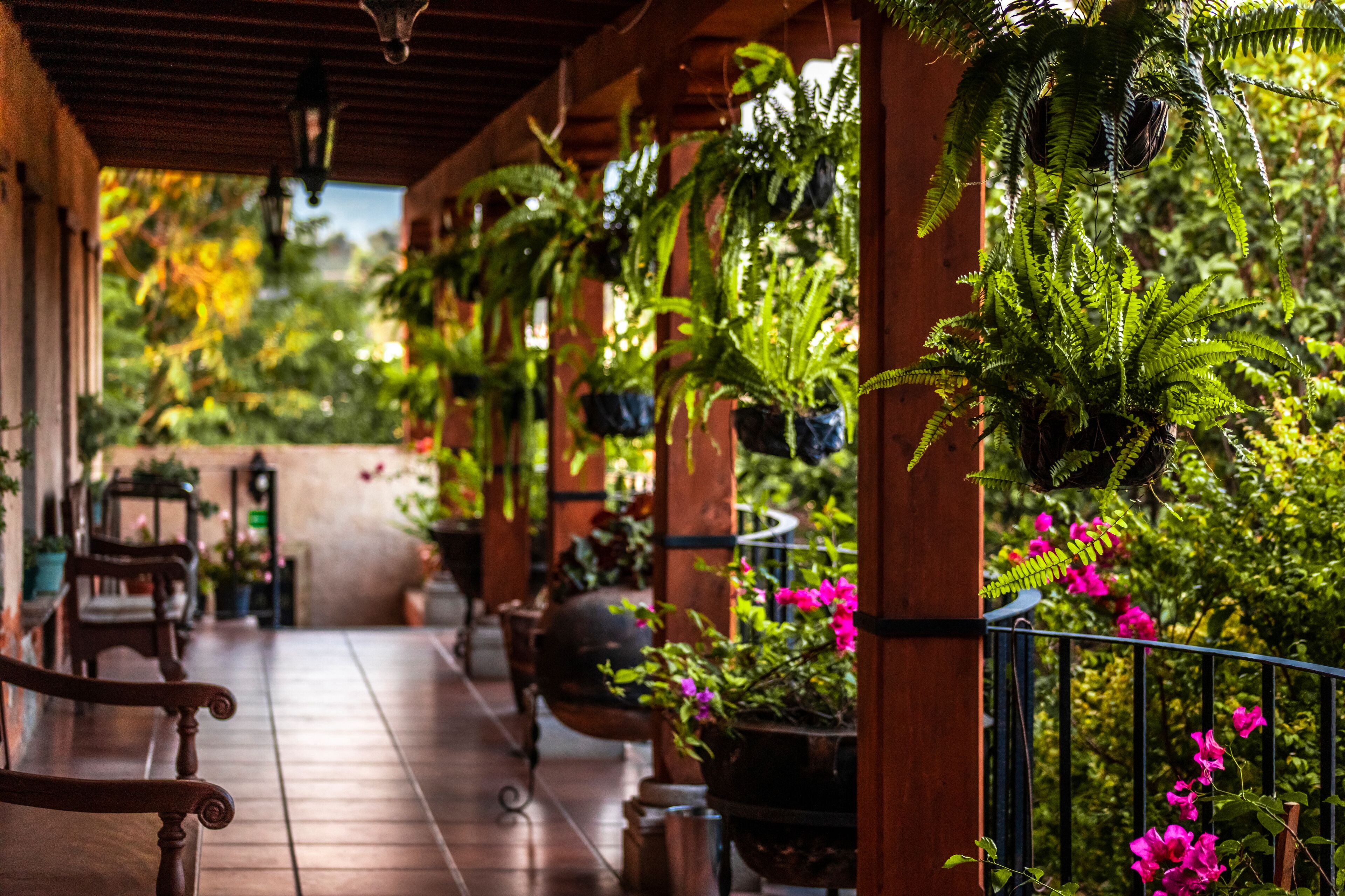 Foto - Naif Boutique Hotel