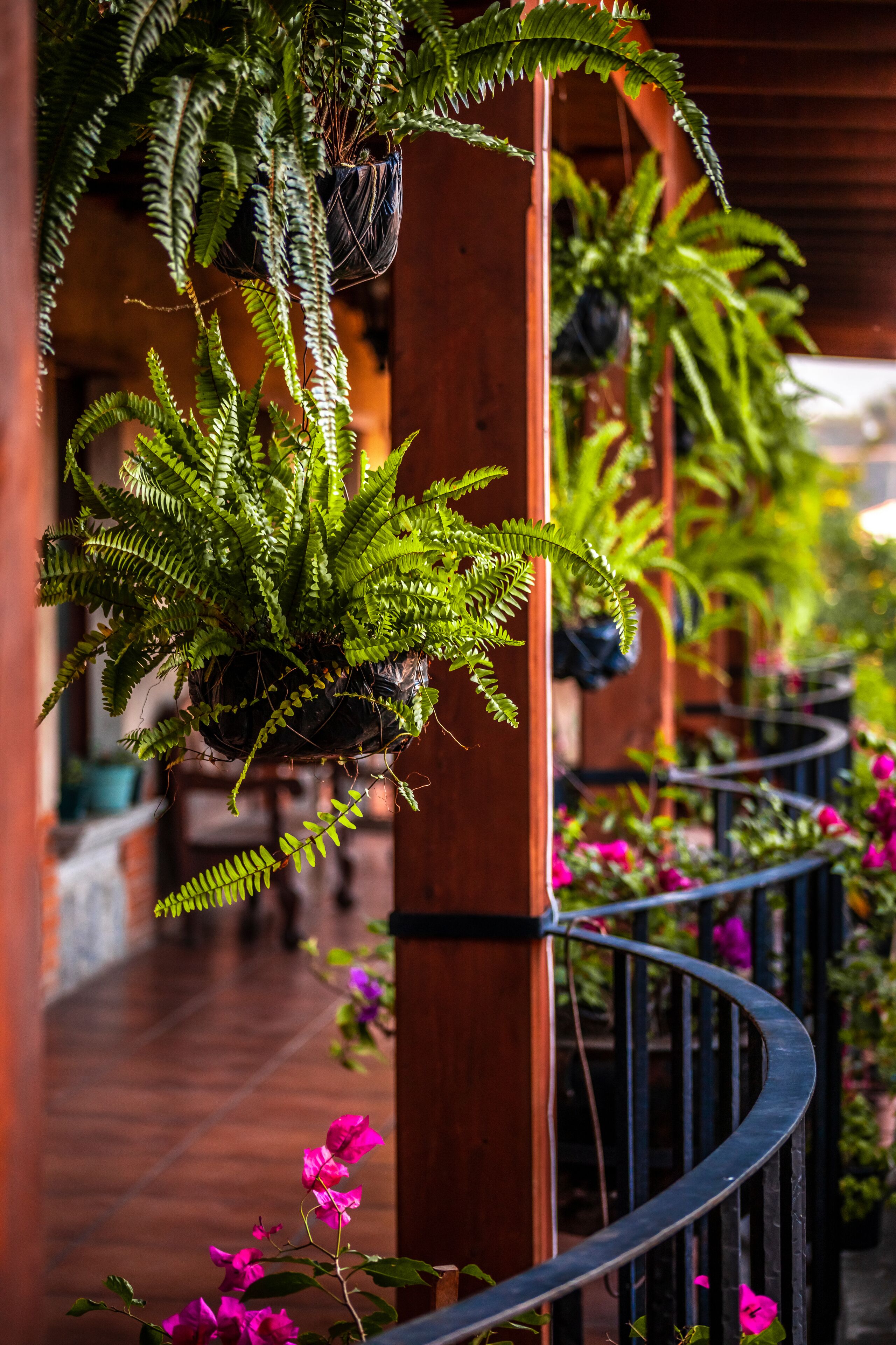 Foto - Naif Boutique Hotel