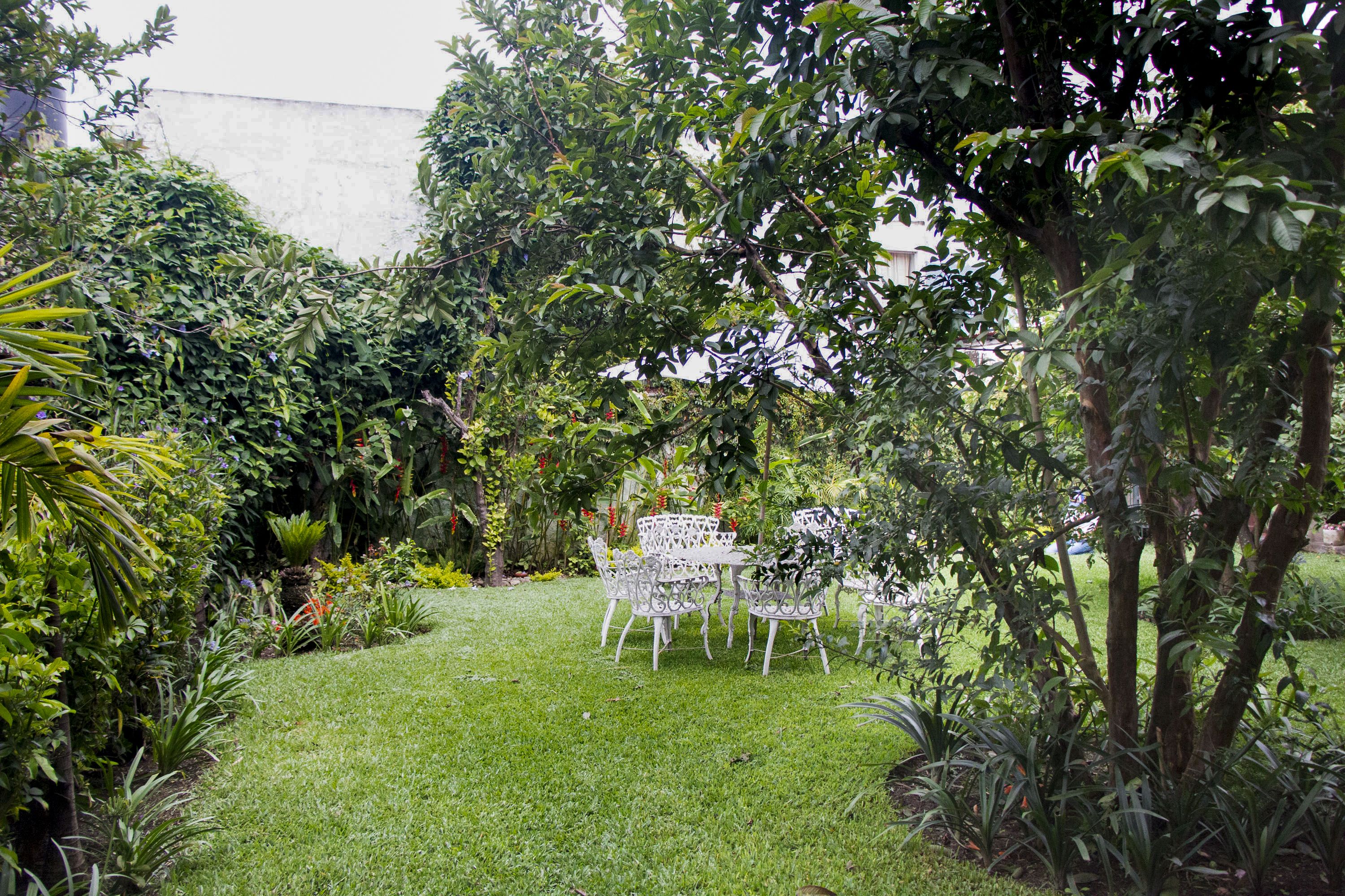 A garden with a white metal table and chairs, surrounded by various plants and trees.