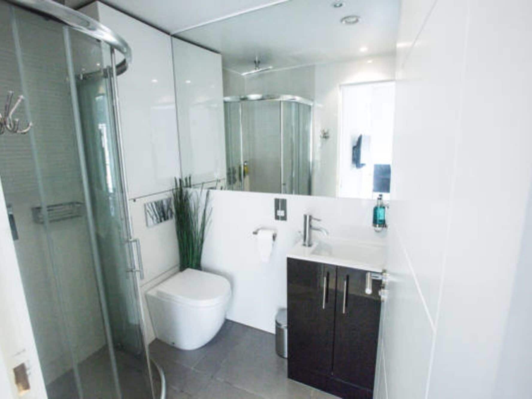 Monolocale Deluxe, bagno privato (Wren's Studio) | Bagno