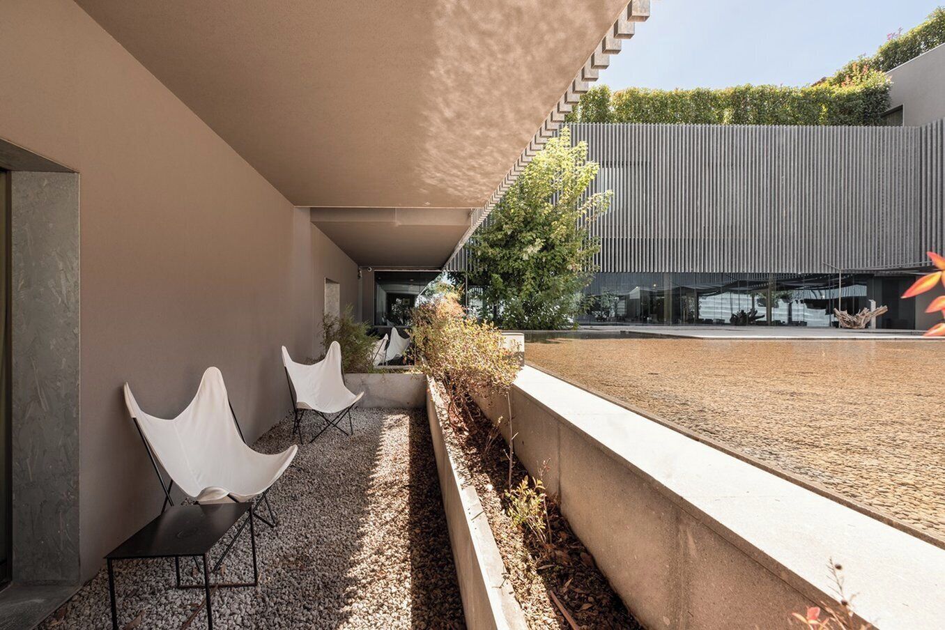 Un área de estar moderna al aire libre con sillas blancas y un camino de grava, que conduce a un edificio con fachada de madera vertical.