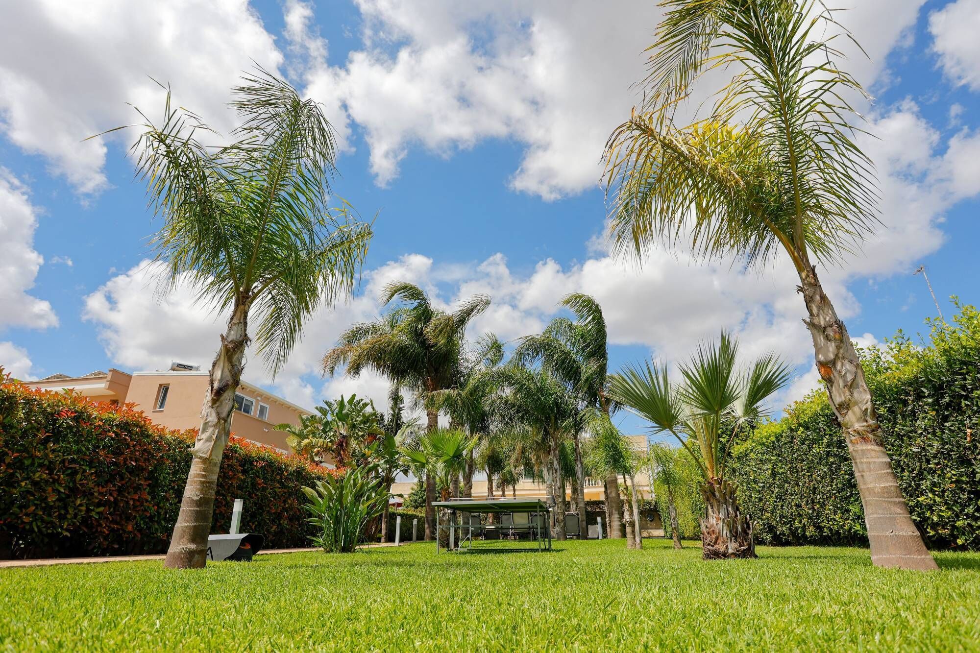 Un jardín cuidado con palmeras, césped y una zona de estar techada.