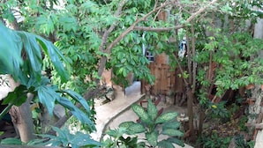 A garden with a wooden staircase surrounded by lush green foliage and a rustic fence. - Casitas Kinsol (Puerto Morelos)