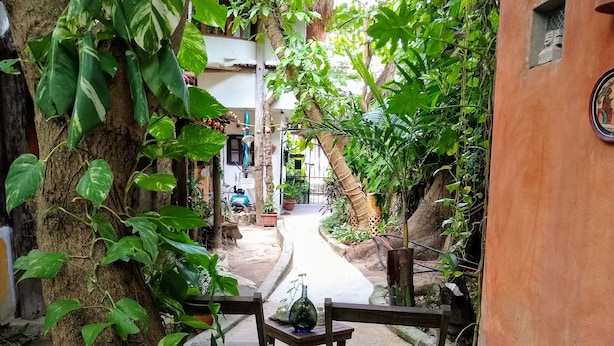A narrow alleyway with a bench and potted plants, leading to a building entrance. - Casitas Kinsol (Puerto Morelos)