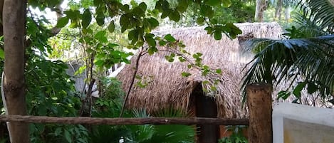 Bungalow estándar, cocineta (8) | Vista al jardín