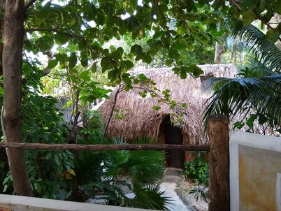 Casitas Kinsol