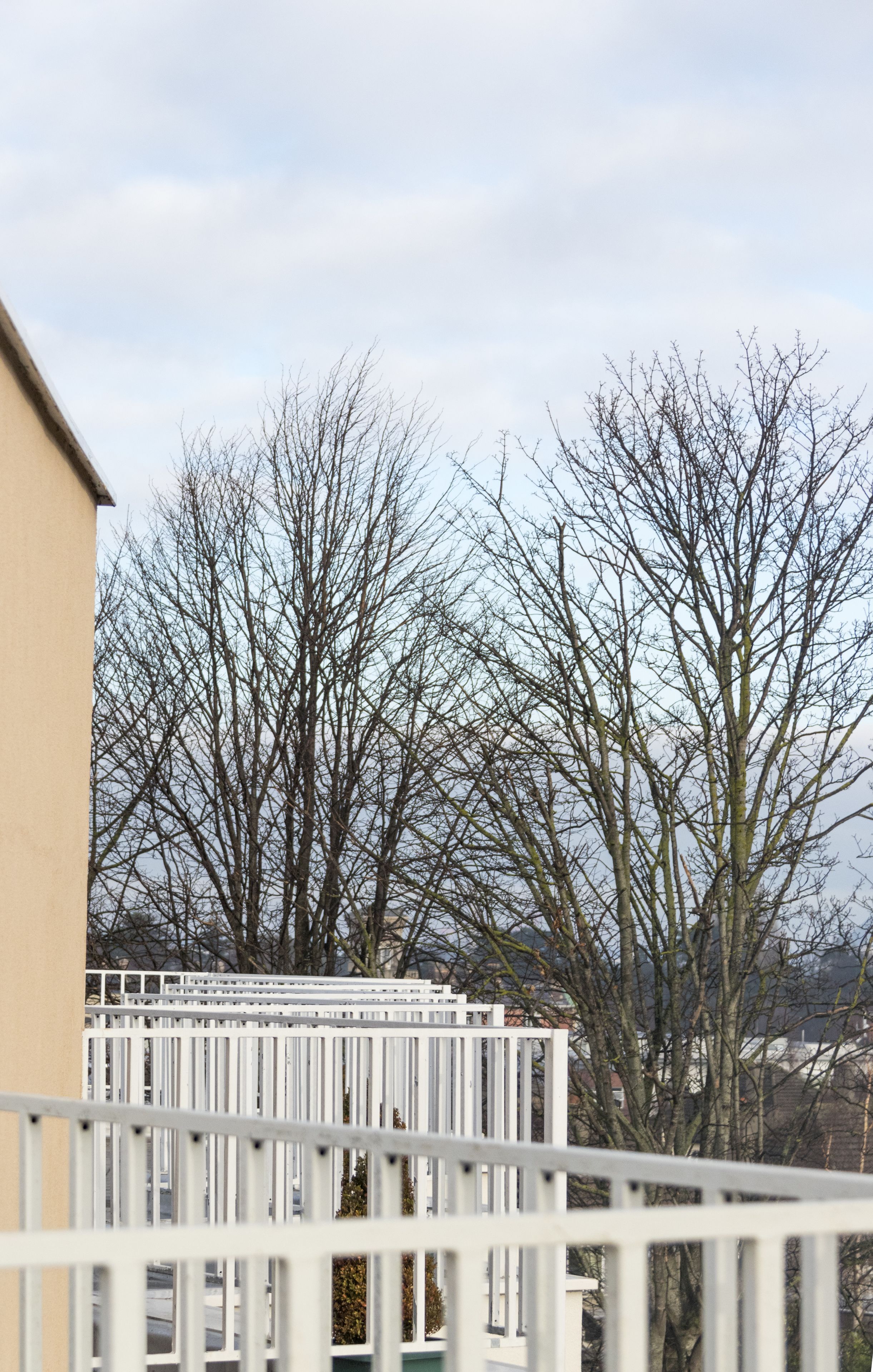 A balcony with a white railing, a beige building, and leafless trees in the background.