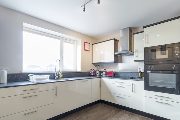 Penthouse Luxe, 2 chambres, terrasse, vue ville | Cuisine privée | Réfrigérateur, micro-ondes, plaque de cuisson, cafetière/bouilloire