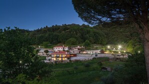 A hillside residential area with houses, a stone bridge, and a well-lit pathway. - Quinta do Fontelo (Vouzela)