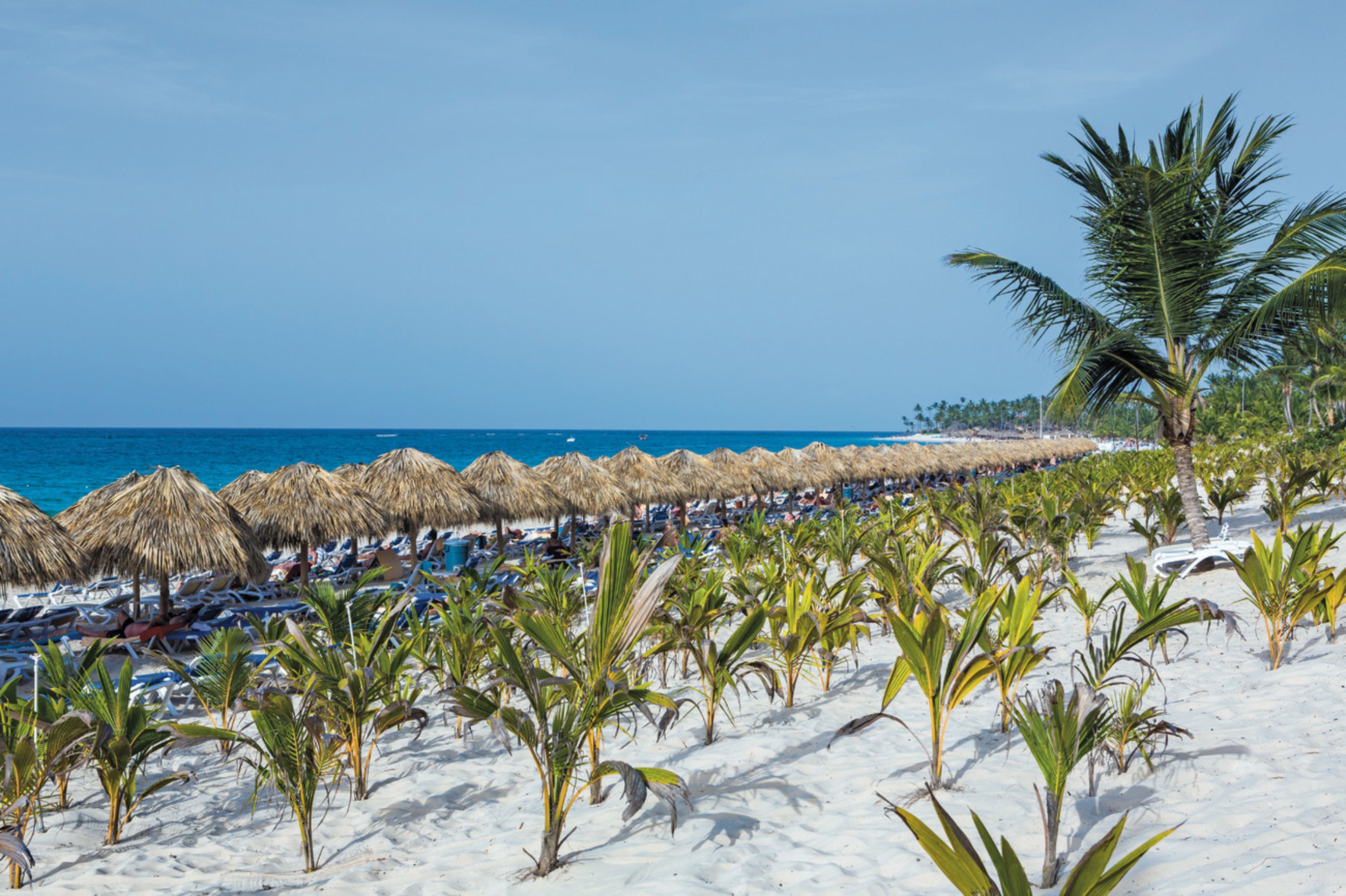 Foto - Riu Republica  All Inclusive  Adults Only