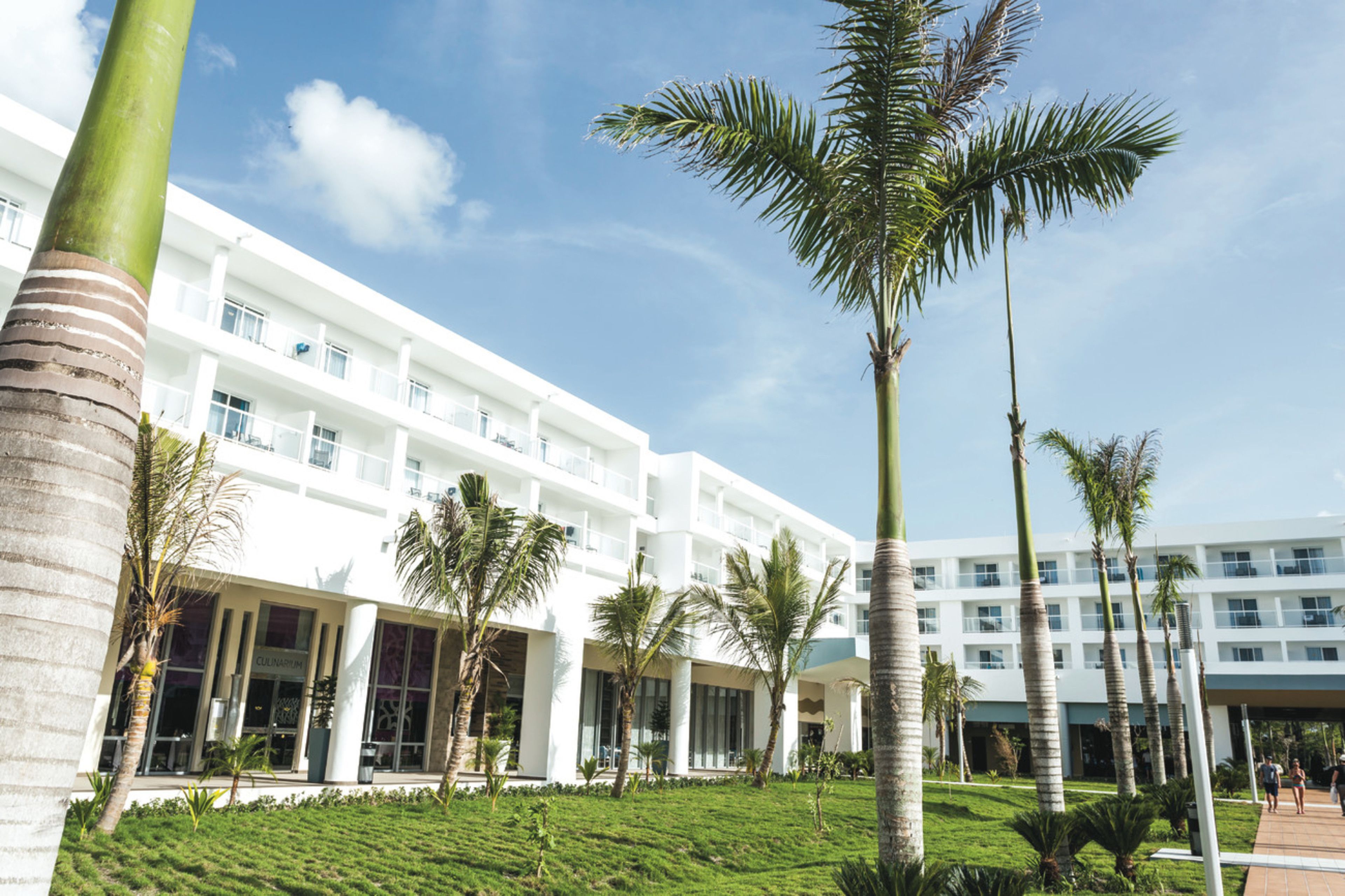 A modern hotel with a white facade, multiple floors, and a well-maintained lawn with palm trees.