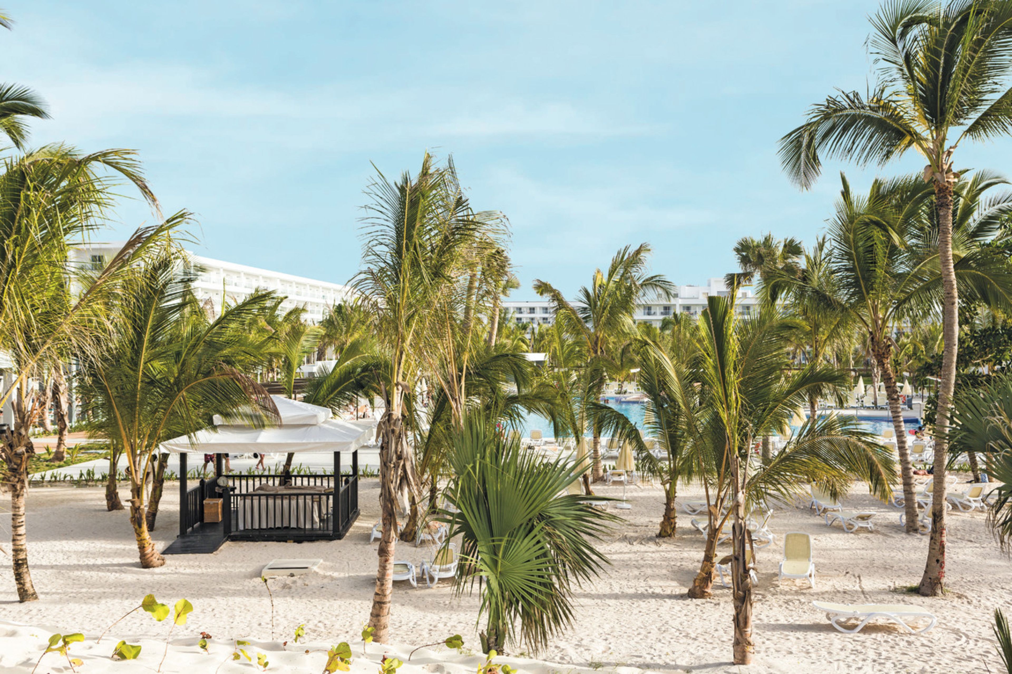 On the beach, white sand, sun-loungers, beach towels