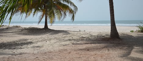 On the beach