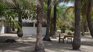 A sandy outdoor area with palm trees and a bench. - Oudja Hotel (Cap Skirring)