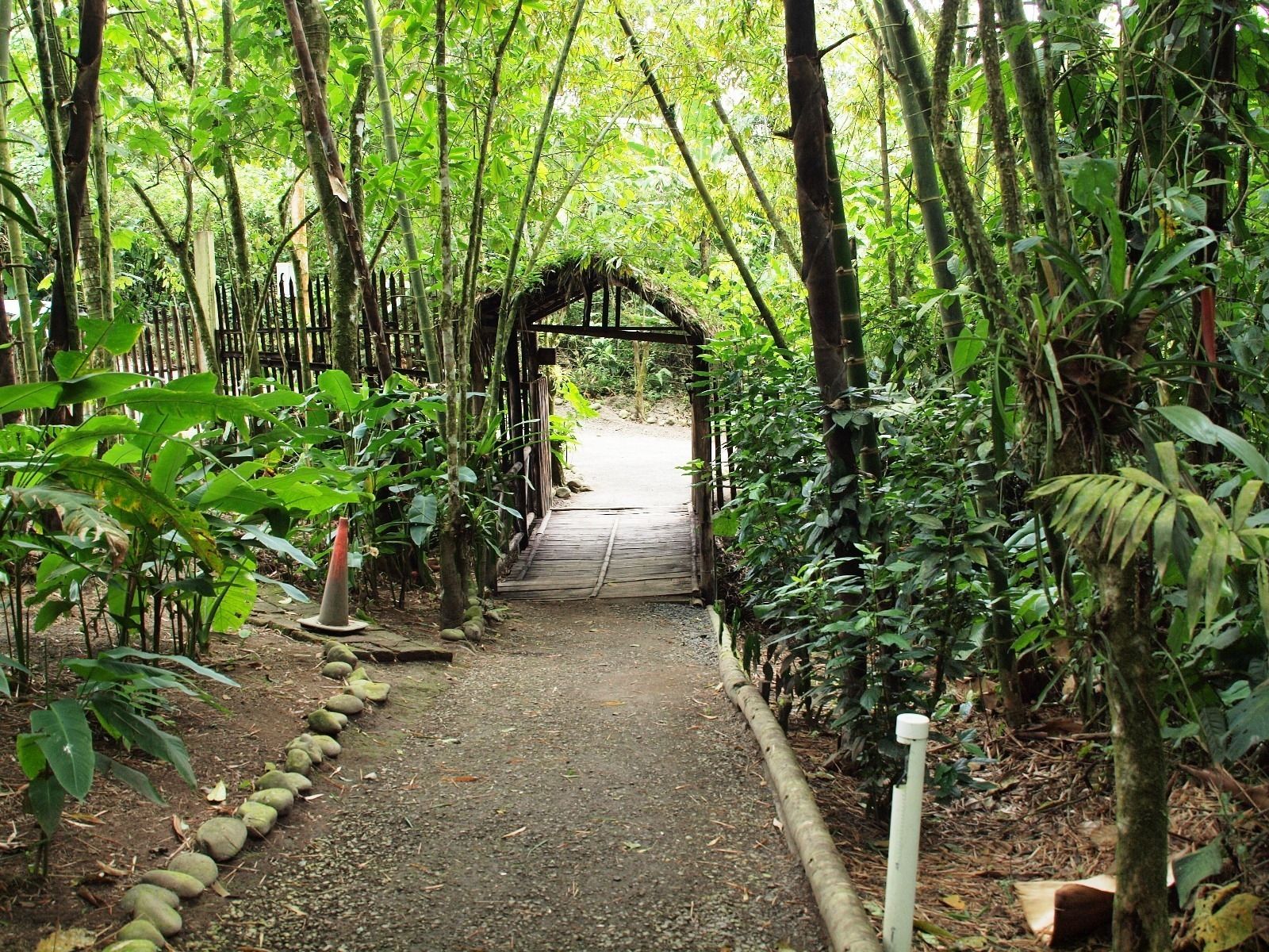 A pathway leading through a bamboo forest to a wooden archway.