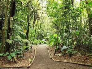 Property grounds - Pacoche Lodge & Reserve (San Lorenzo)