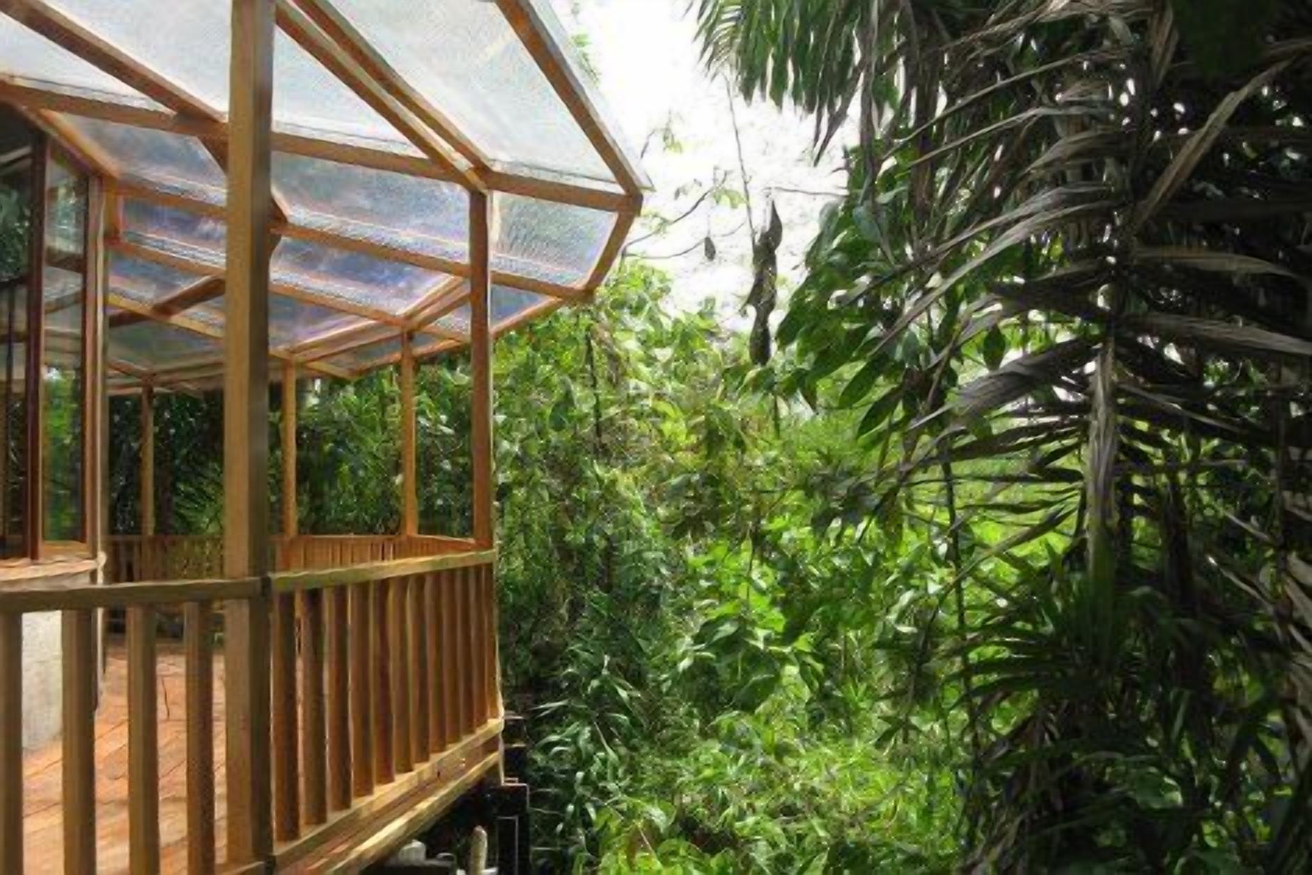 Une structure en bois surmontée d’un toit de verre, entourée d’une végétation tropicale luxuriante.