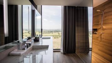 Regadera, amenidades de baño gratuitas, secadora de cabello, toallas