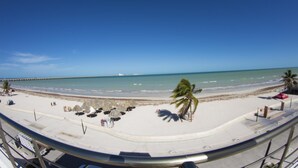 A beach with a clear view of the ocean, a pier in the distance, and a few palm trees. - Hotel & Suites Domani (Progreso)