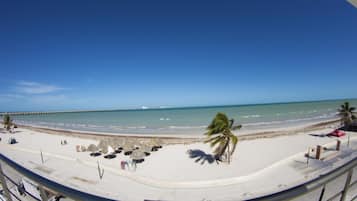Vista desde la propiedad
