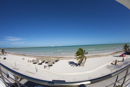 Vista desde la propiedad. Hotel & Suites Domani