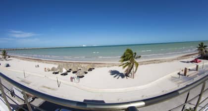 Hotel & Suites Domani