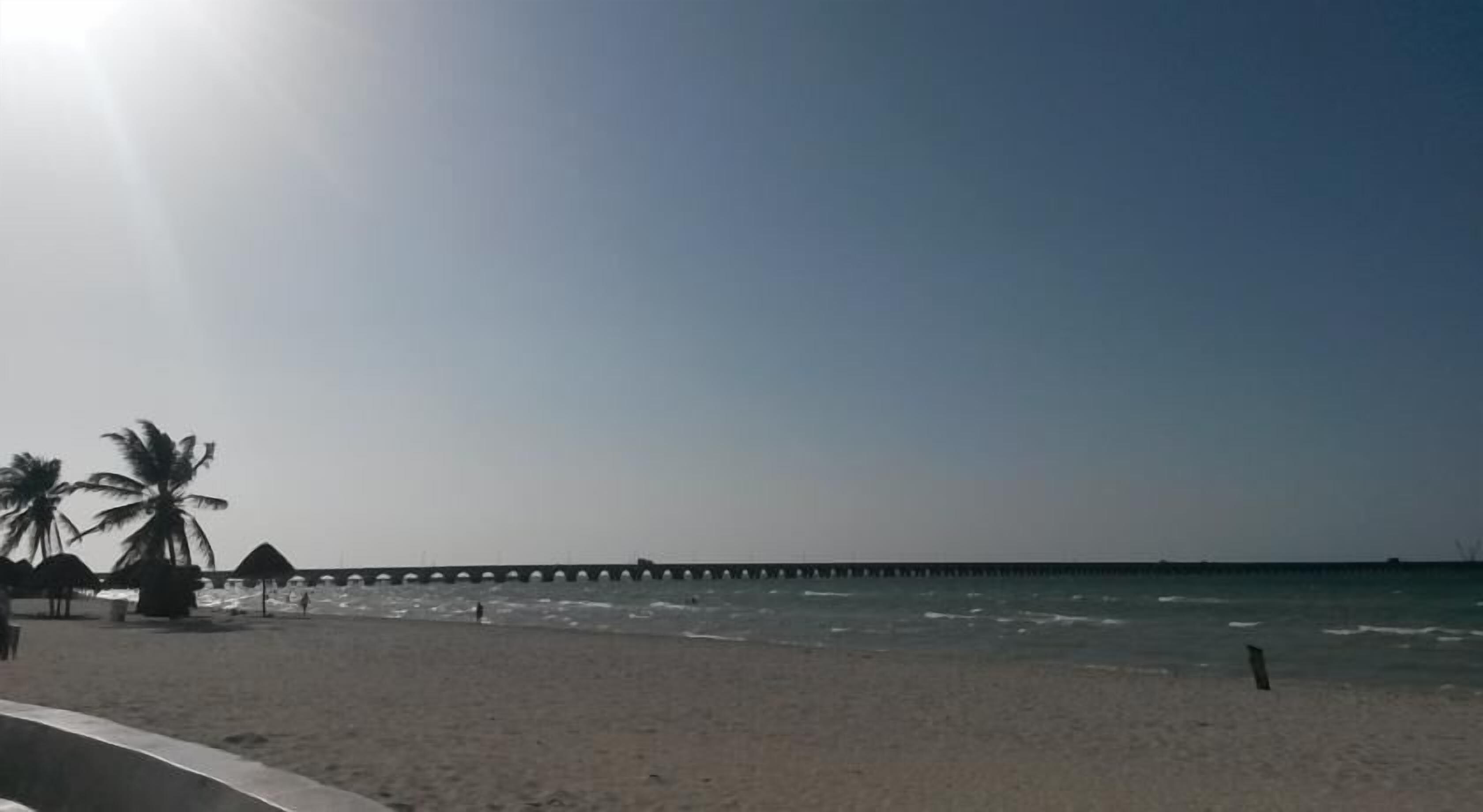Una playa con un muelle que se adentra en el agua, palmeras y un cielo despejado.