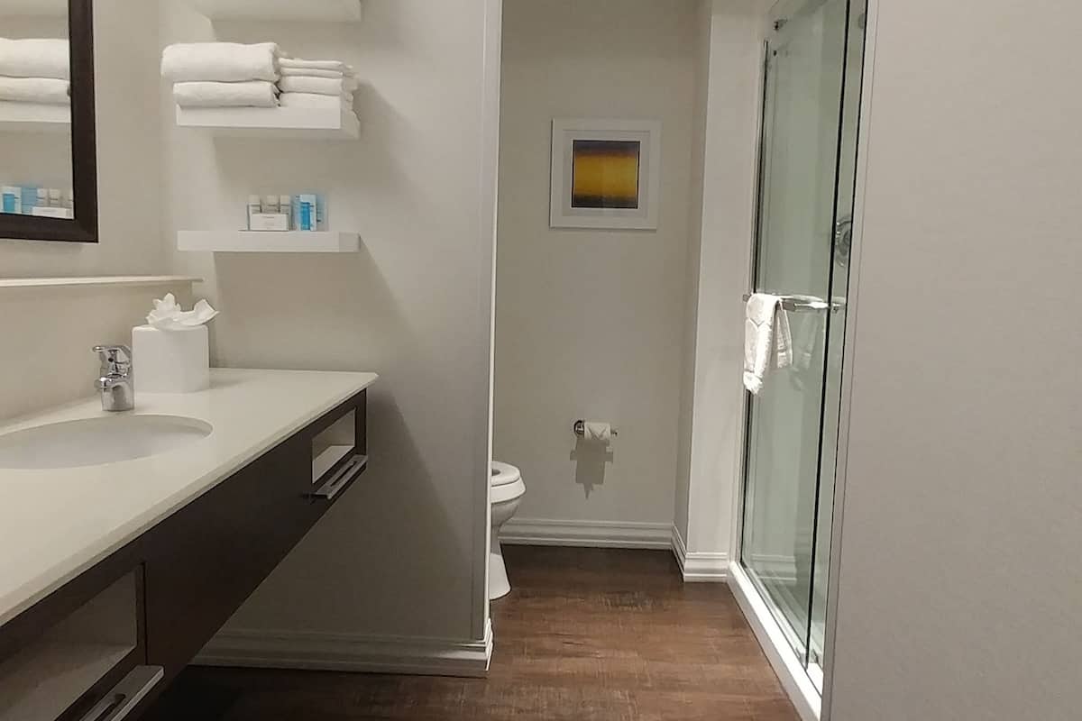 combined shower/bathtub, designer toiletries, hair dryer, towels