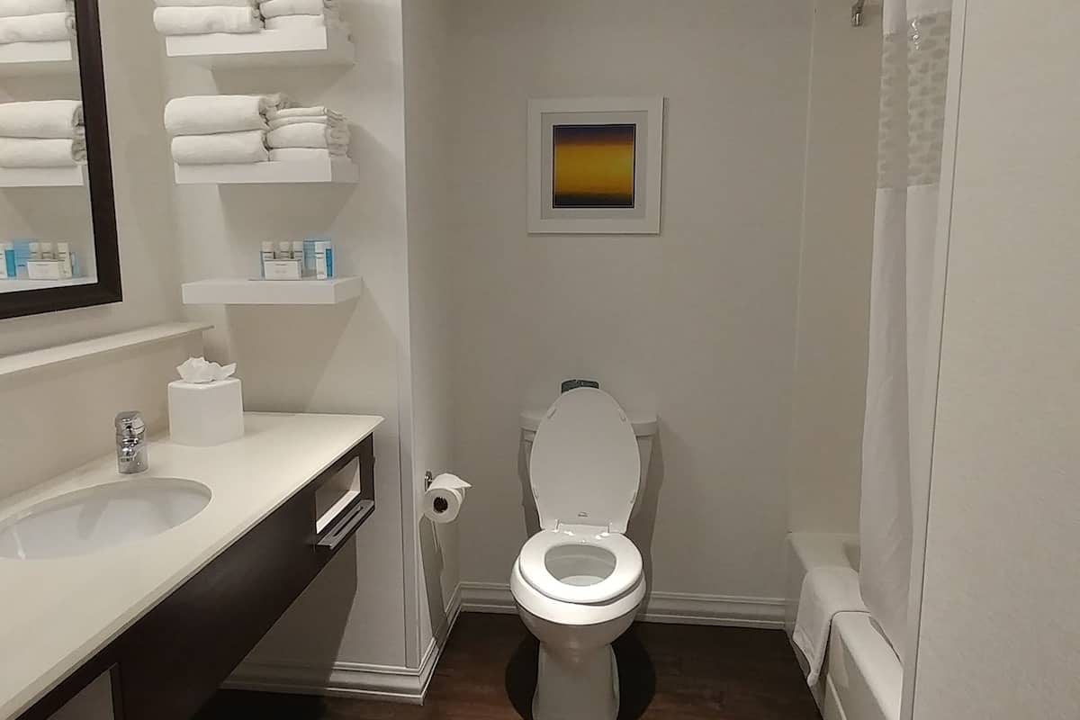 combined shower/bathtub, designer toiletries, hair dryer, towels