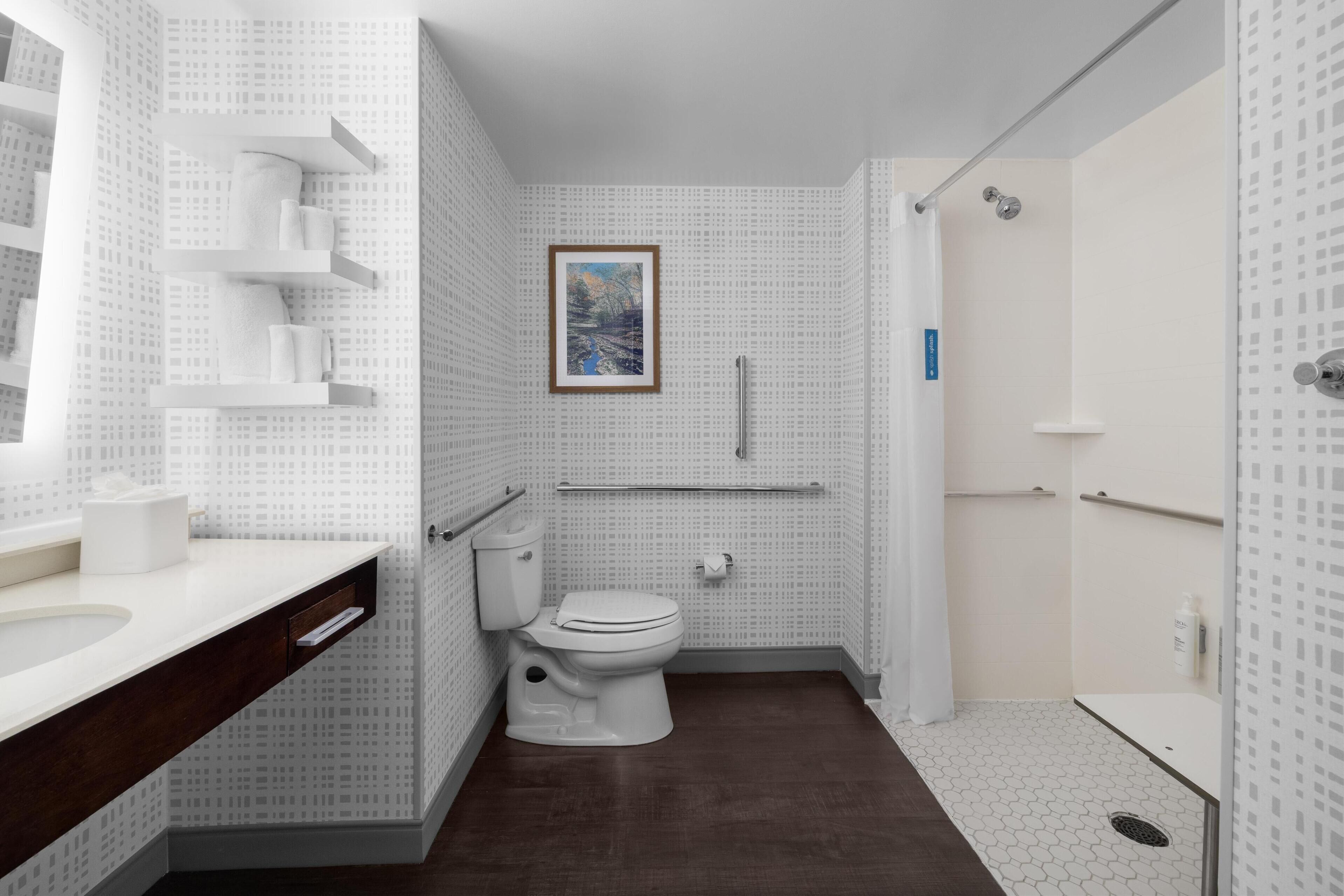 room, 1 king bed, accessible, non smoking (roll in shower) | bathroom shower