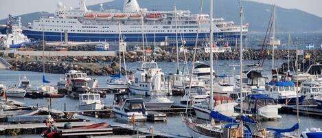 Un puerto deportivo con varias embarcaciones amarradas, incluyendo un gran crucero al fondo.