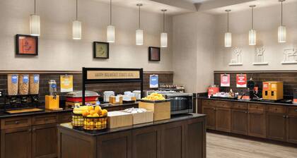 Hampton Inn & Suites Orlando/Downtown South - Medical Center