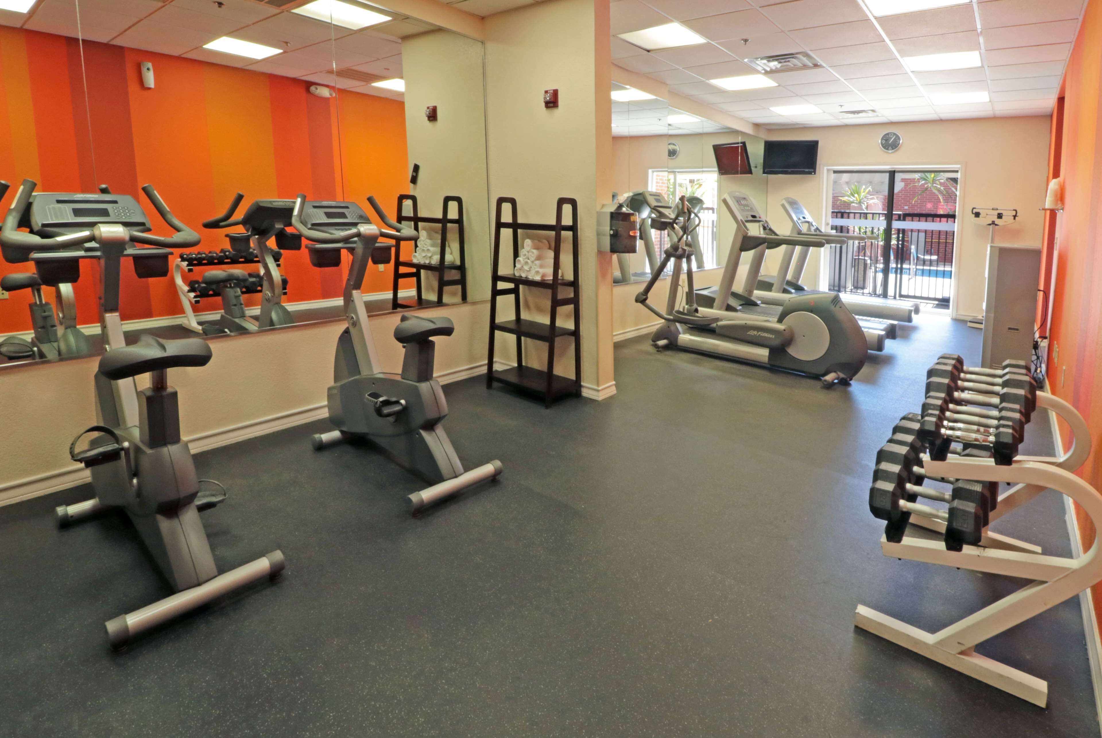 A gym with treadmills, elliptical machines, and dumbbells.